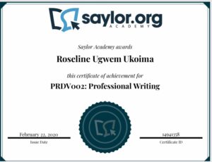 PROFESSIONAL WRITING